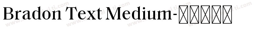 Bradon Text Medium字体转换